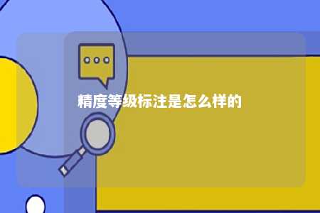 精度等级标注是怎么样的 